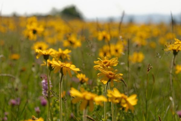 【毎週木曜日更新】恋愛ベタな人は「幸せセンサー」を働かせていない？