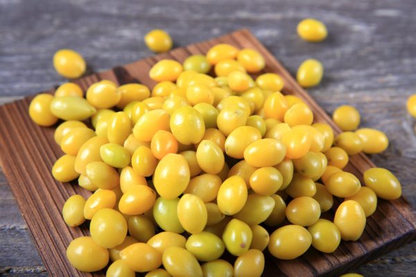 咳を止めてノドを潤す。体の内側の乾燥を解消するご飯【kumakoの美容薬膳】