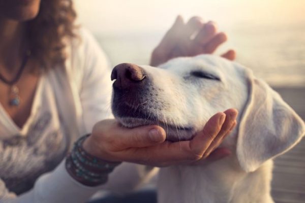 牡牛座はひと目惚れの予感！射手座は人との衝突に注意。【ジプシーカード占い】11/24～11/30