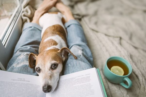 双子座はあなたの真価が試される？射手座は運気が後押ししてくれる時期！【恋のパワーストーン占い】11/26～12/2