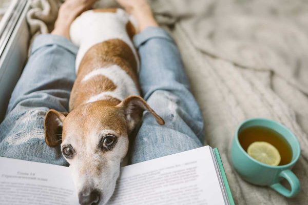 冷えの解消には〇〇のポーズが効く！体温を上げて病気知らずの体を目指そう