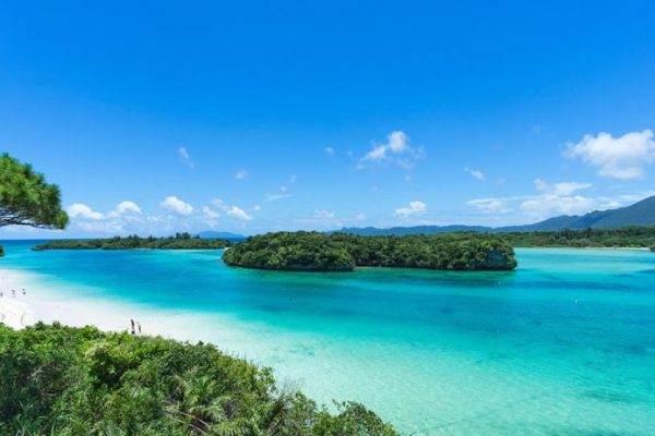 7月生まれはお小遣いがピンチになるかも？！9月生まれはやりたかったことに投資してOK！【マナカードで占う誕生月別今月の金運】12/26~1/1