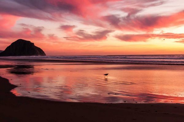 牡牛座は変化の前触れ！？天秤座は精神的に大きく成長できる時期。【恋のパワーストーン占い】1/21～1/27﻿