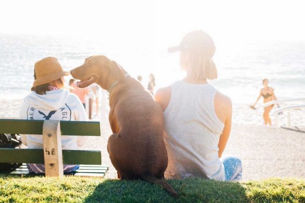 「楽しむこと」こそが本当に意味のあること【数秘術でハッピーになる！】