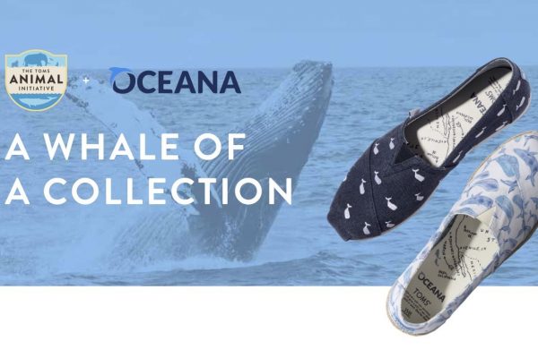 あなたが一足買うと誰かに一足。 そんな貢献ができる靴を買いませんか？