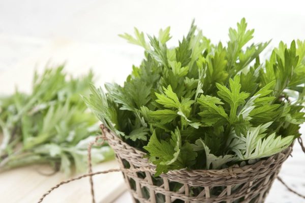 春の和菓子でデトックス！三色だんごで 和テイストのお茶タイム