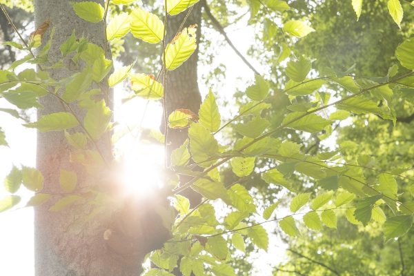 汗を拭き取ると、熱中症リスクが高まるって知ってた？