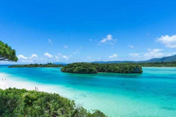 【心理テスト】チームワークであなたが果たすべき役割は？