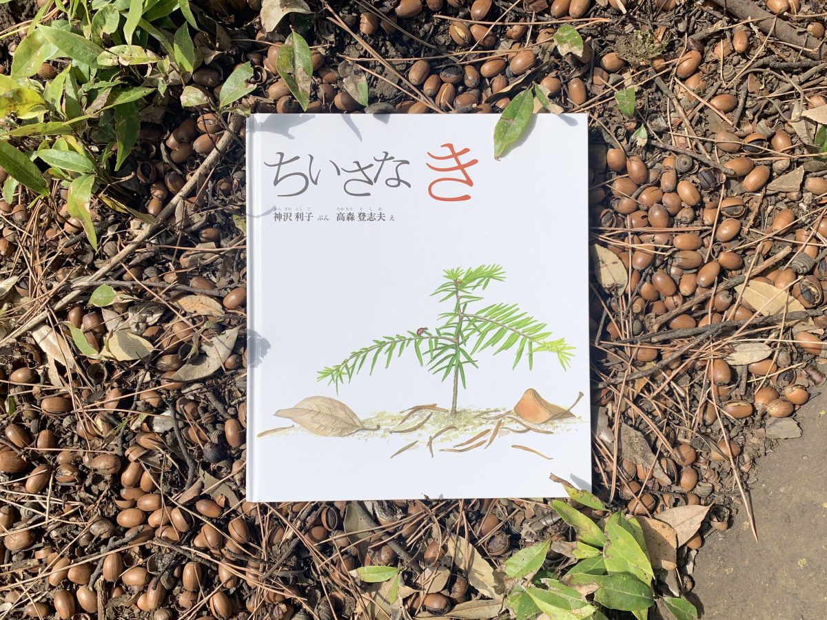 モデル仲川希良の「絵本とわたしとアウトドア」#23 ちいさな き | ランドネ