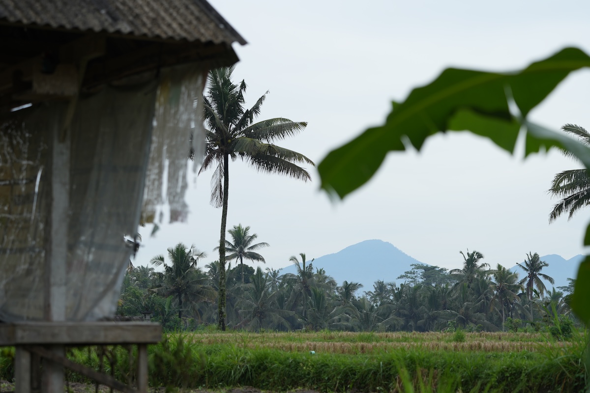 ウブドの渓谷に浮かぶ“天空の宿”｜星のやバリで心解き放つ2泊3日